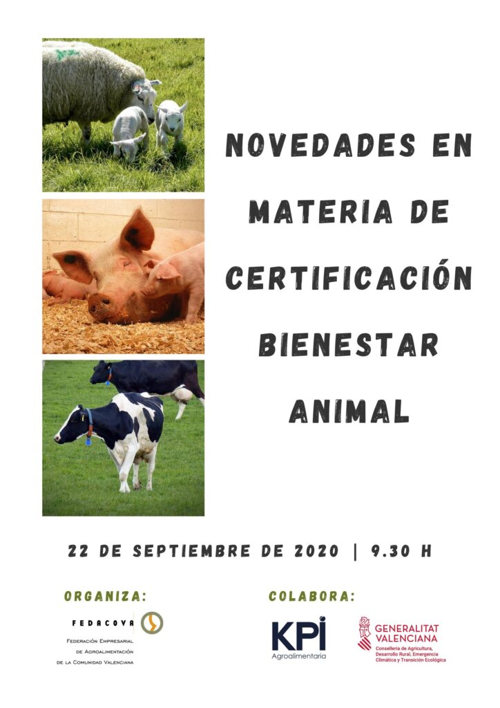 JF-Bienestar-Animal-1